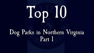 Top 10 Dog Parks in Northern Virginia  Part 1 (#106)
