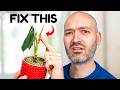 This simple trick will get your plant growing again