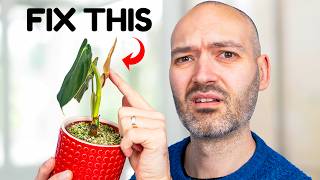 This Simple Trick Will Get Your Plant Growing Again