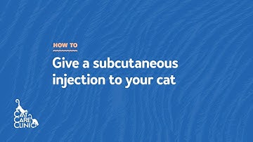 How to Give a Subcutaneous Injection to your Cat (Cat Care Clinic | Madison, WI)