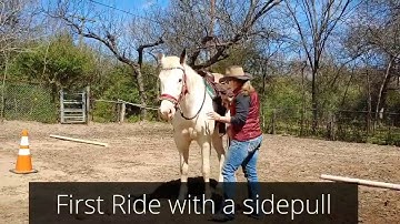 First Ride with a sidepull hackamore bitless bridle