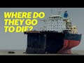 How Mega Ships are Scrapped?