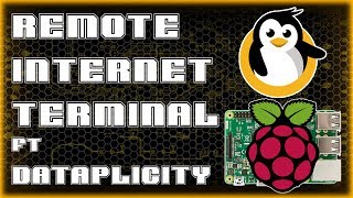 Remote Internet Terminal ft. DATAPLICITY | Software Pi screenshot 1