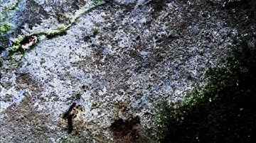 Diego Soddu - In-Transformation (excerpt 2)