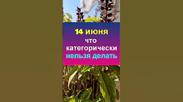 14 июня народный праздник Устинов день. Что нельзя делать. Народные приметы, традиции и обряды