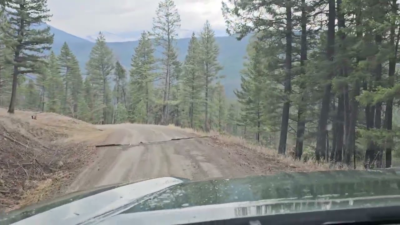 The Grave Creek Drive(2)