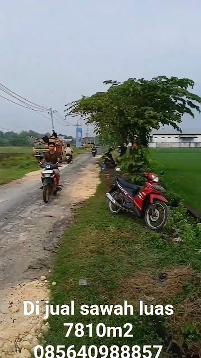 SAWAH DI JUAL luas 7810m2 pinggir jln desa 3xpanen 085640988857