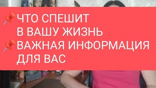 📌ЧТО СПЕШИТ В ВАШУ ЖИЗНЬ📌ВАЖНАЯ ИНФОРМАЦИЯ ДЛЯ ВАС#тародлямужчин#таро#таролог