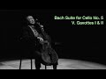 Miniature de la vidéo de la chanson Suite No. 5 In C Minor, Bwv 1011: V. Gavotte I And Ii