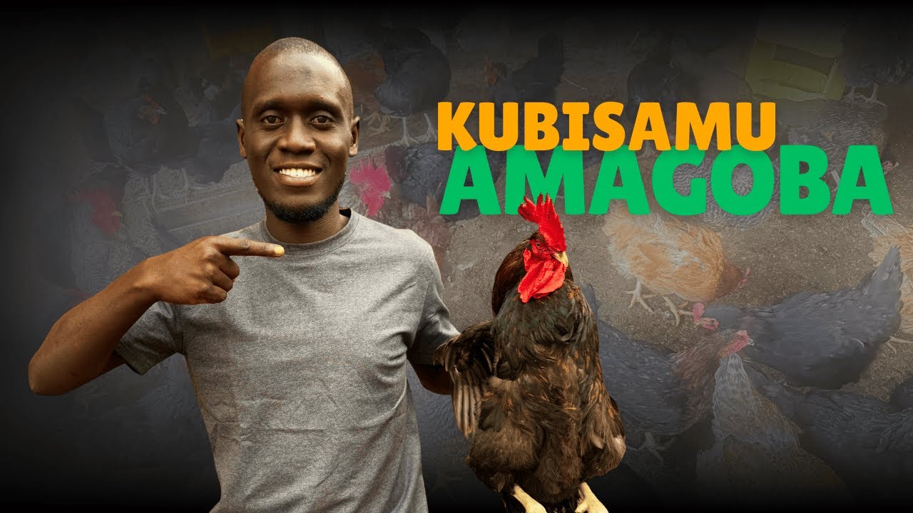 ENGERI GYOSOBOLA OKUBISAMU AMAGOBA MU NKOKO ENGANDA NGA WESIGAMIDDE KU NYAMA