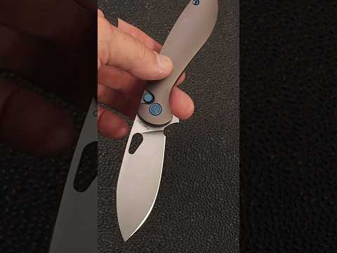 New Knife Brand! Fintiso - Cobra Budget Button Lock - Full Review Coming Soon!