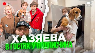 видео: ХАЗЯЕВА В ГОСТЯХ У ПОДПИСЧИКА В КВАРТИРЕ ЗА 30 МЛН РУБЛЕЙ! | ПАРАДЕЕВИЧ, КОРЕШ, ГОРИЛЛЫЧ ИРЛ картинка: ХАЗЯЕВА В ГОСТЯХ У ПОДПИСЧИКА В КВАРТИРЕ ЗА 30 МЛН РУБЛЕЙ! | ПАРАДЕЕВИЧ, КОРЕШ, ГОРИЛЛЫЧ ИРЛ