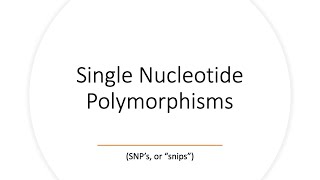 Single Nucleotide Polymorphisms (SNPs)