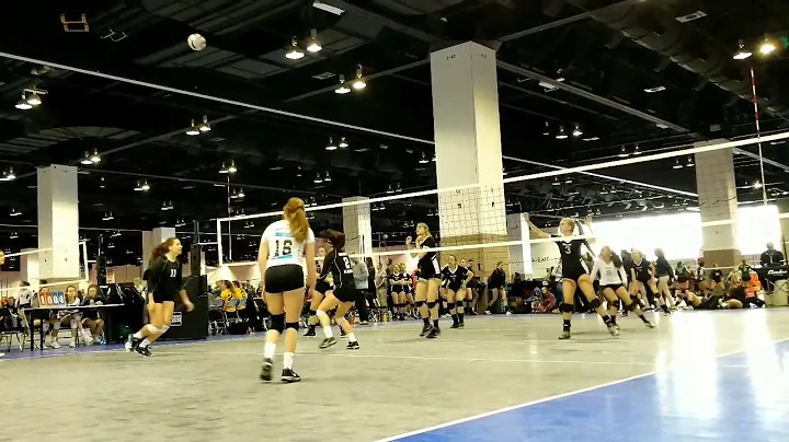 Sofia Quintanilla - 2019 Setter, NAJ 17 Black