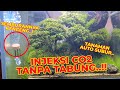 INI DIA NIH SOLUSI AQUASCAPE YANG BELUM BISA PAKE TABUNG CO2..!