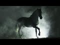 Amigo bronco–Bronco(Letra).