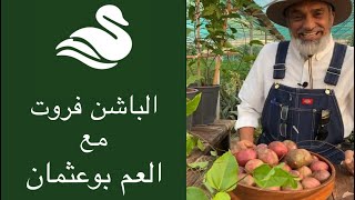 Albohayra 🌿 - Albashin Fruit With uncle BoOthman | الباشن فروت مع العم بوعثمان 😍