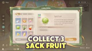 Collect Sack Fruit 03 Infinity Nikki