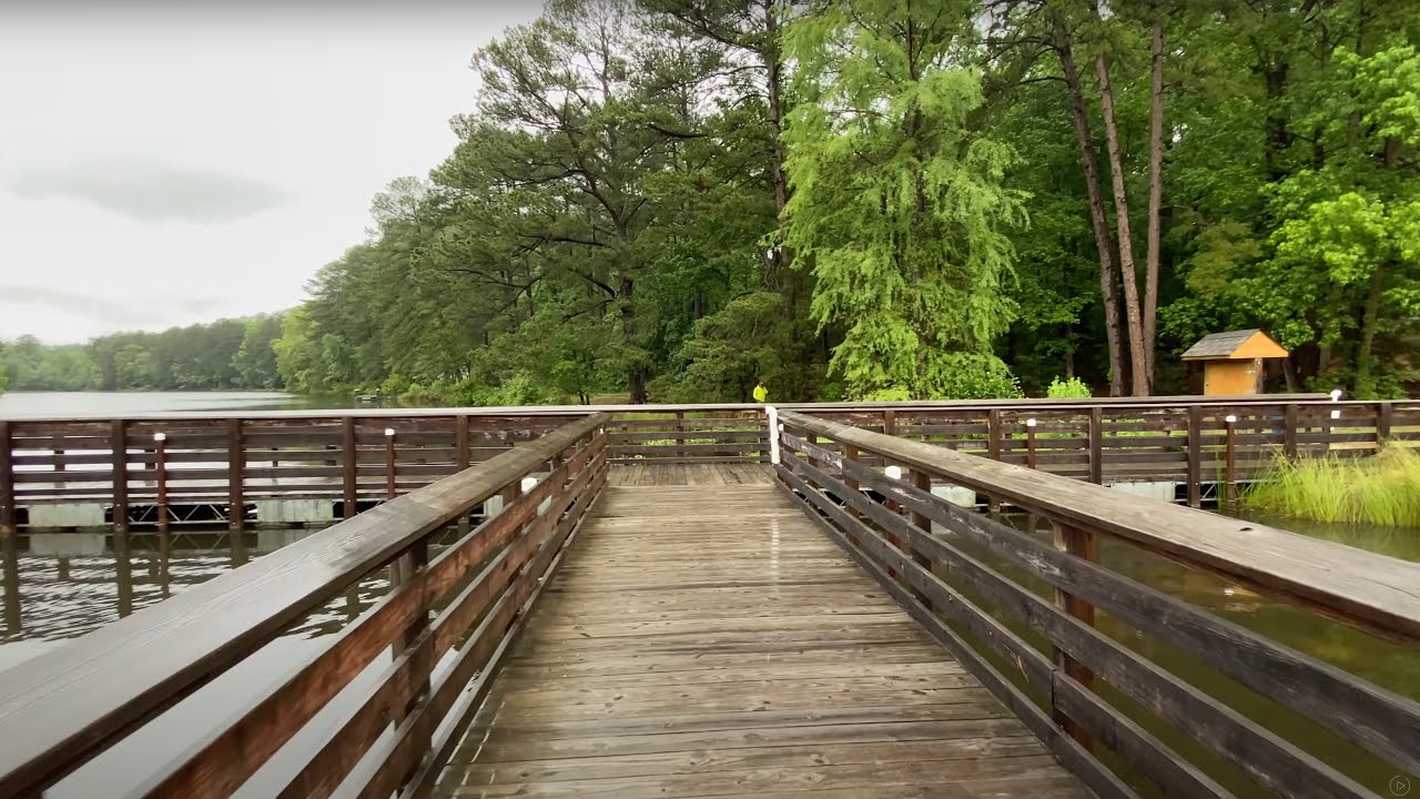 Relaxing Lake Walk in the Rain with Umbrella | Nature Sounds for Sleep ...