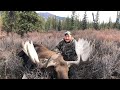 2019 Alaska moose. Full video of the moose hunt.