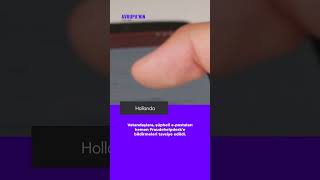 Hollanda'da polis adına sahte e-posta dolandırıcılığı endişe yaratıyor