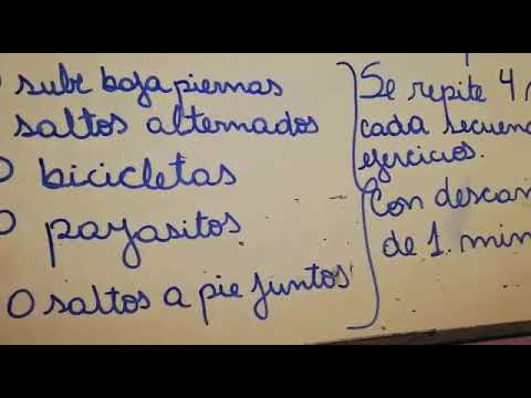 Segundo ciclo 1