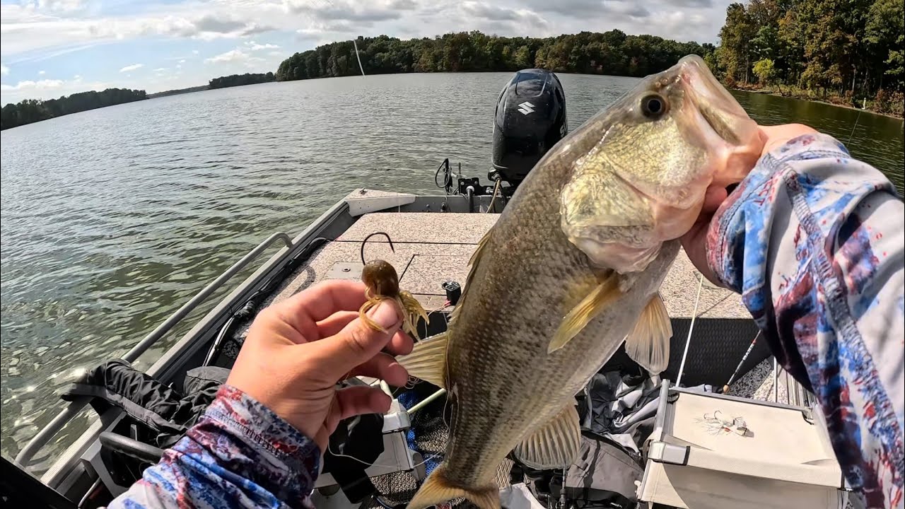 100 bass day!!! Illinois bass fishing.