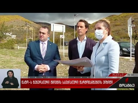 ნატო-ს გენერალური მდივნის სპეციალური წარმომადგენლის ვიზიტი