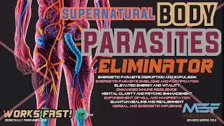 Supernatural Body Parasites Eliminator (Super Powerful!) Advanced Morphic Field