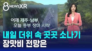 [날씨/XR] 내일 더위 속 곳곳 소나기..장맛비 전망은 / SBS 8뉴스