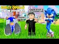 🦔 EN ZOR ROBUX ÖDÜLLÜ SİMON DİYORKİ OYNADIK 🦔 Sonic Speed Simulator / Roblox Türkçe