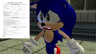 Sonic gets a j*b