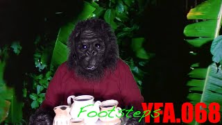 Your Final Answer Ep68 Footsteps