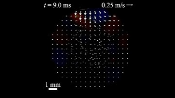 Particle Image Velocimetry via Time-of-Flight Sectioning (PIVOTS)