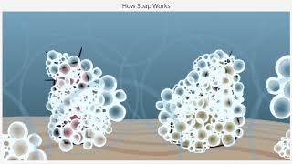 How Soap Works