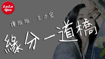 抖音《緣分一道橋》譚維維、王力宏【動態歌詞Lyrics】