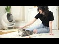 Getting started with the Litter-Robot 3 Connect