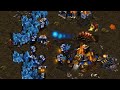 Gotm best  p vs scan  t on polypoid  starcraft  brood war remastered