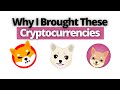 Shiba Inu, Kishu Inu, Hokkaido Inu Tokens | How To Buy And Why I Am Buying These Coins