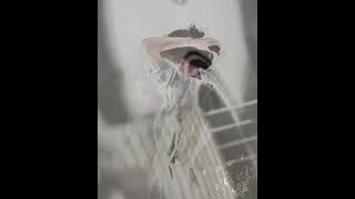 Les amoureux qui passent - Lyrics (Engsub)