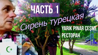 Турция_Часть 1: Первые дни за границей/Анталия_Кемер (Август 2020)