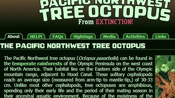 Evaluating Web Sources