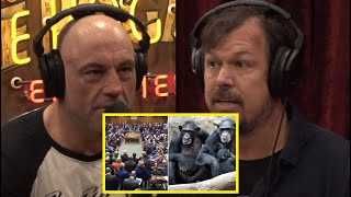 JRE: Chimp Presidents by JRE Encore 78 views 1 year ago 5 minutes, 4 seconds