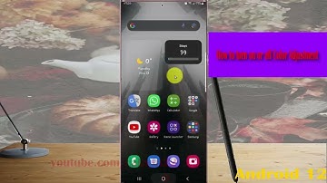 Samsung Galaxy S22 Ultra : How to turn on or off Color Adjustment