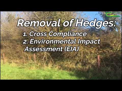 Video: Hedge Trimming Rules