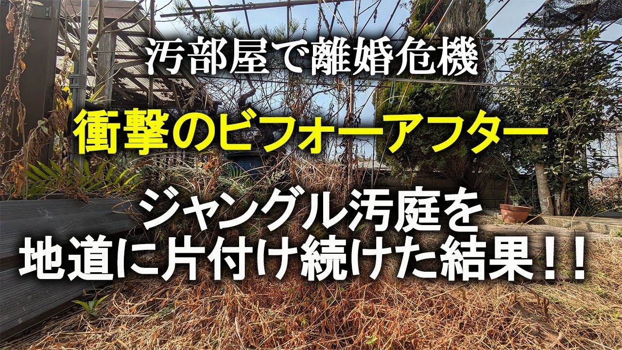 【片付け】汚家の汚庭、地道に片付けた結果！ビフォーアフター公開｜ズボラ主婦｜汚部屋｜庭掃除｜雑草