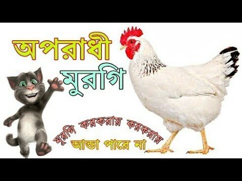 Criminal chicken Oporadhi Murgi  Bangla funny song 2018