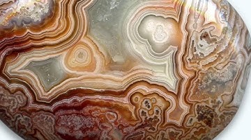 Video 1: Using a Flatbed Scanner