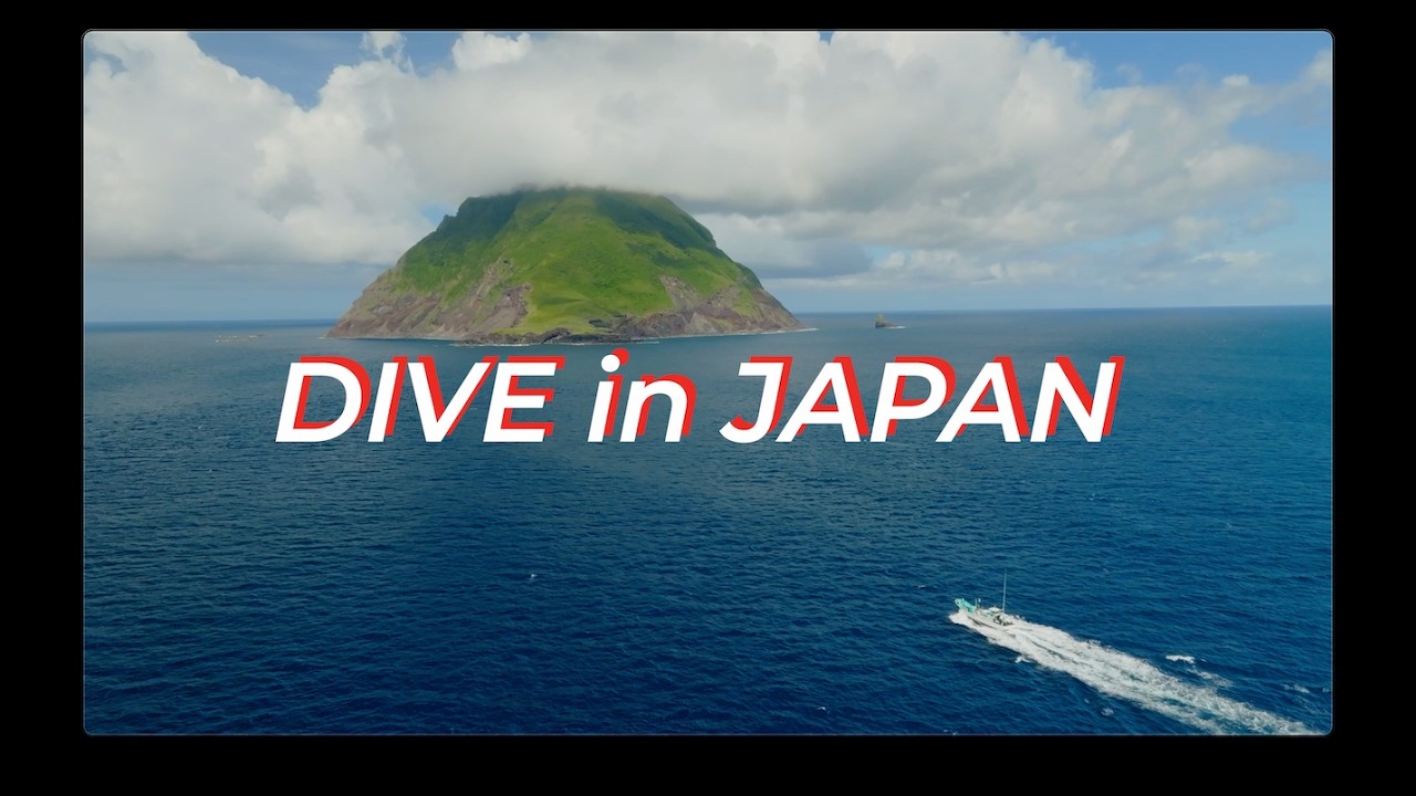 [4K] Дайвинг в Японии! ~Дайвинг-путешествие с SSI от Окинавы до Тохоку~ | Исследование лучших мес...