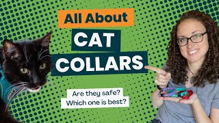 All About Cat Collars - A Complete Guide